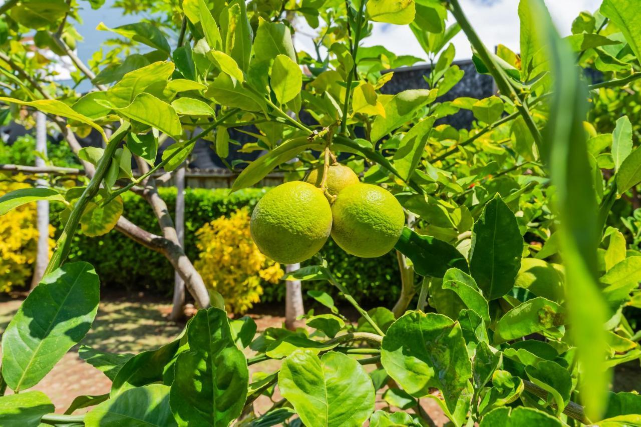 1730 Kaleka 4 Bed Poipu House, Guest House Walk To Beach Koloa Luaran gambar